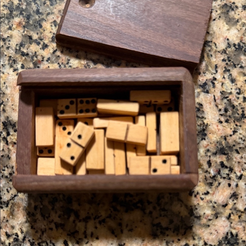 Mini Wooden Domino Set in Brown Box